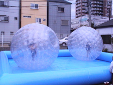 滋賀県湖北町体験会